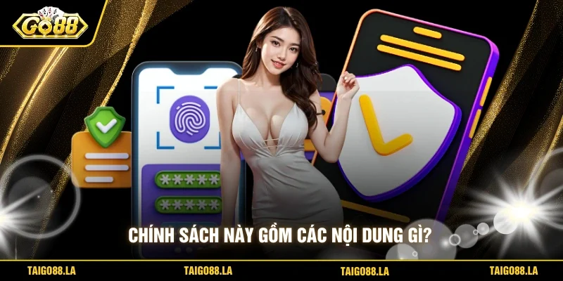 Chính sách này gồm các nội dung gì?